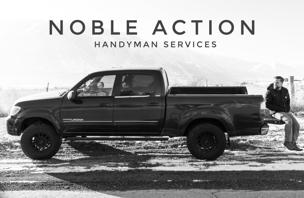 About Noble Action Cover