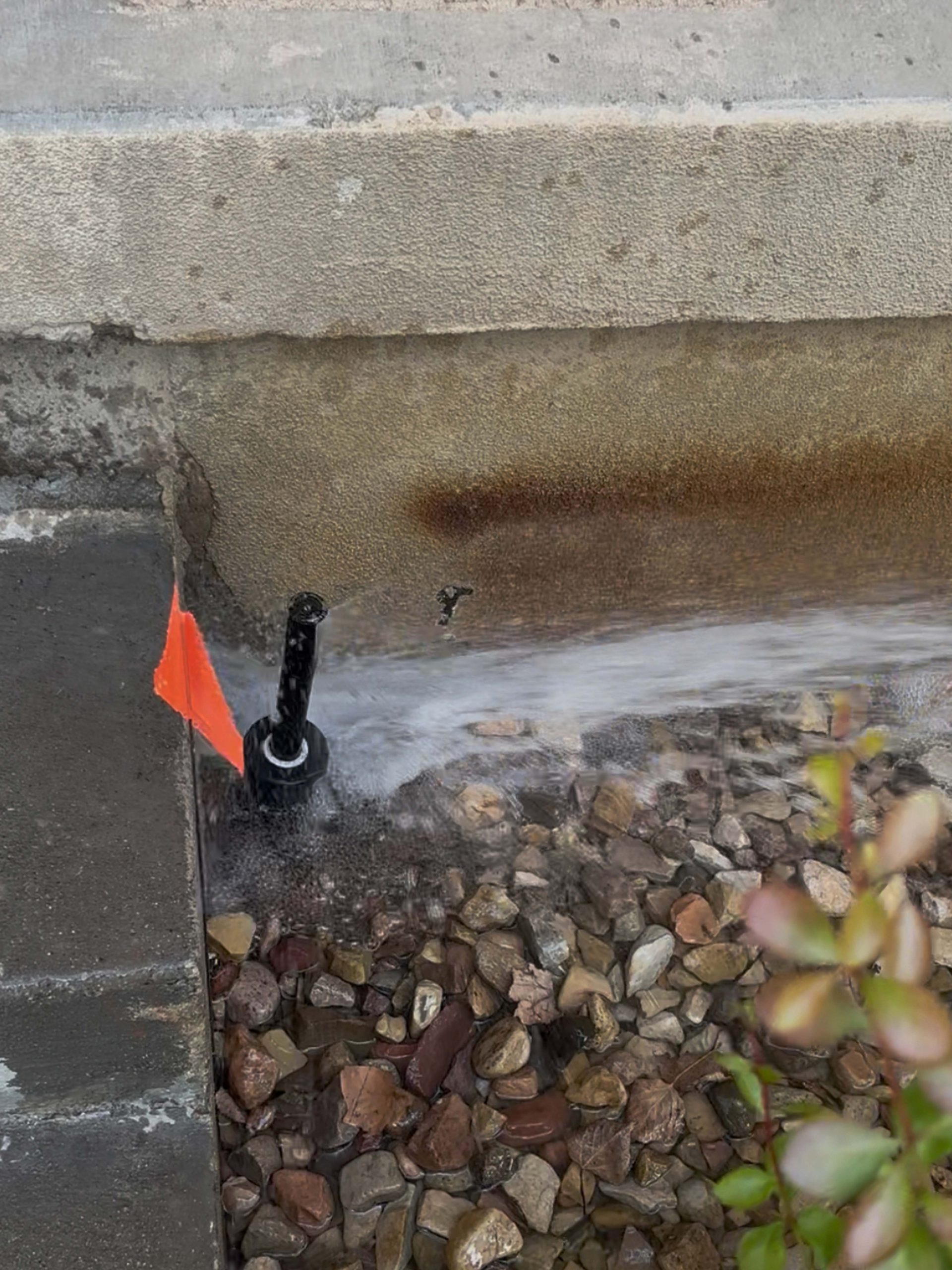 Sprinkler leak