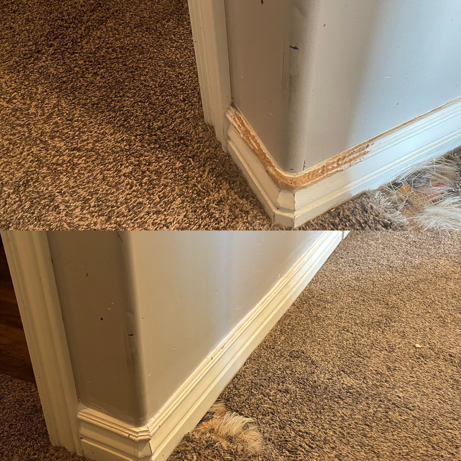 AB1588DF-D60C-4294-8804-C1E4DBECB1CF